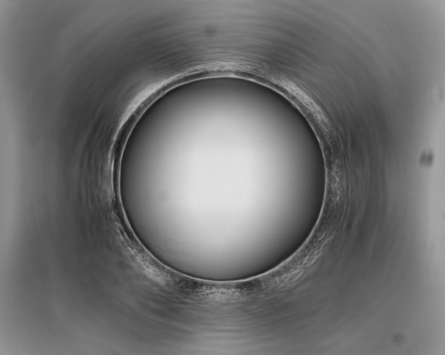 X0000096380886200801241234
