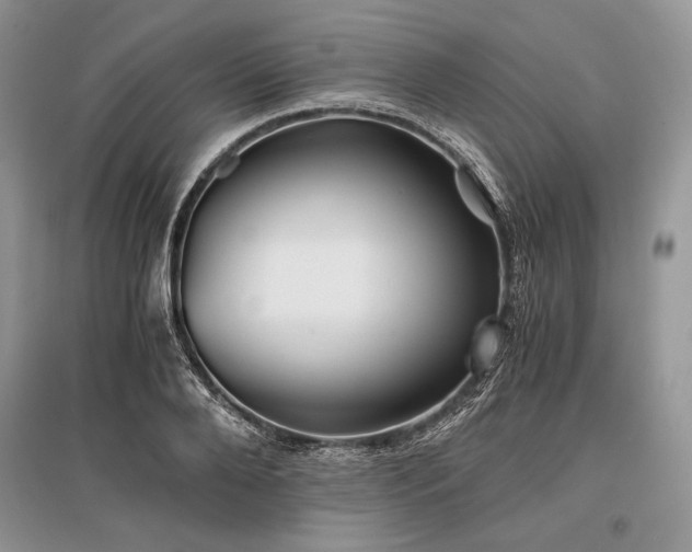 X0000096380888200801241234