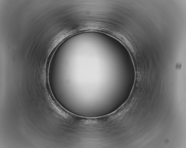 X0000096380890200801241234