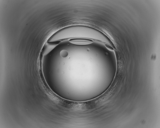 X0000096380891200801241234