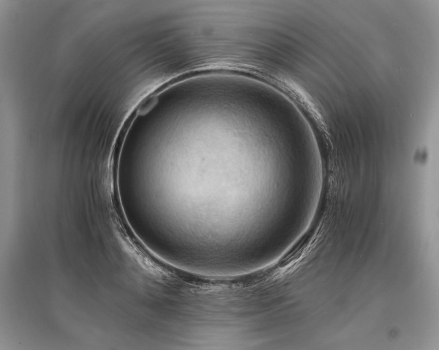 X0000096380892200801241234