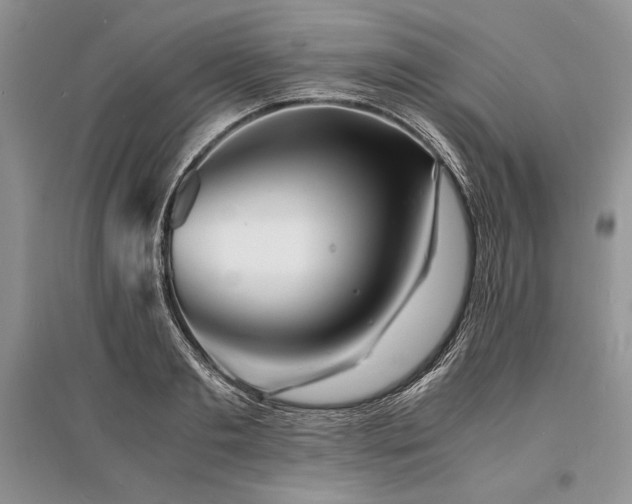 X0000096380893200801241234