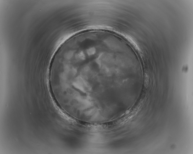 X0000096380895200801241234