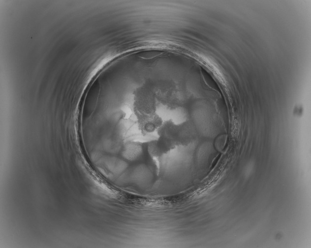 X0000096380899200801241234
