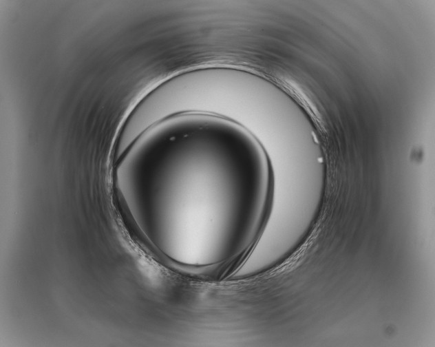X0000096380900200801241234