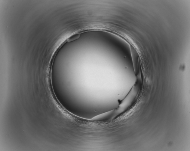 X0000096380901200801241234