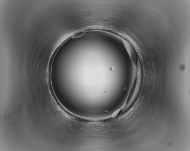 X0000096380902200801241234