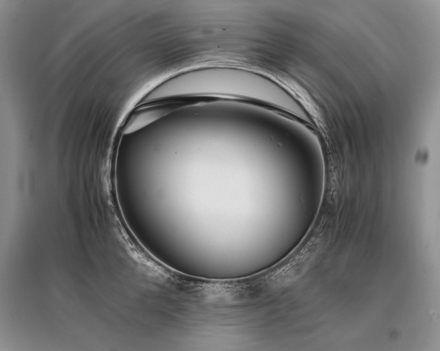 X0000096380904200801241234