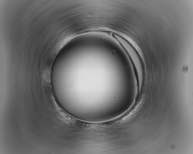 X0000096380905200801241234