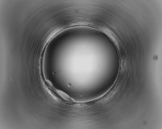 X0000096380906200801241234