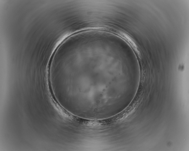 X0000096380907200801241234