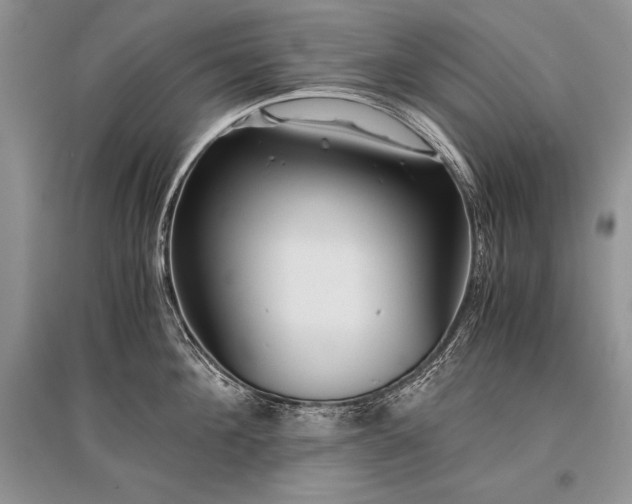 X0000096380908200801241234