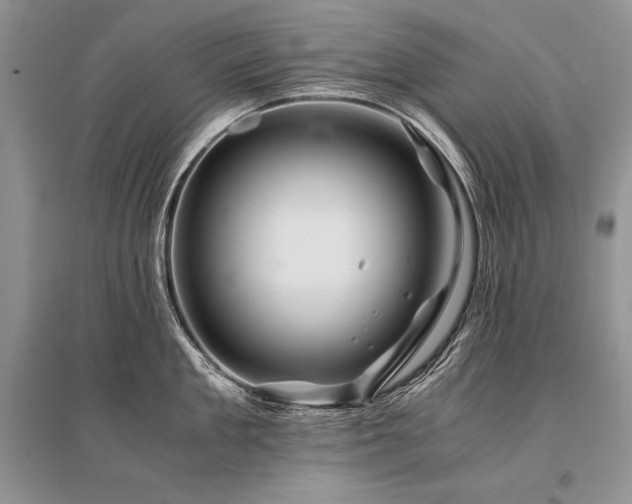 X0000096380909200801241234