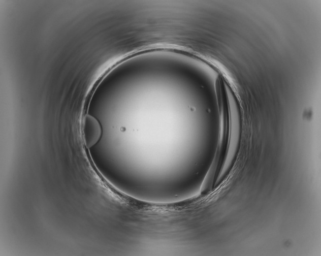 X0000096380910200801241234