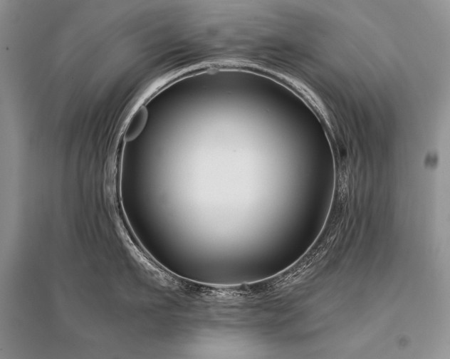 X0000096380911200801241234