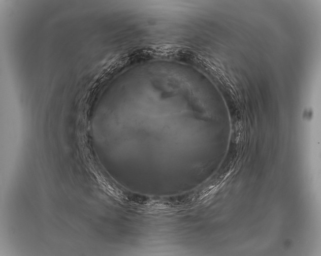 X0000096380913200801241233