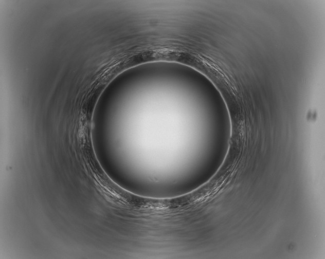X0000096380914200801241233