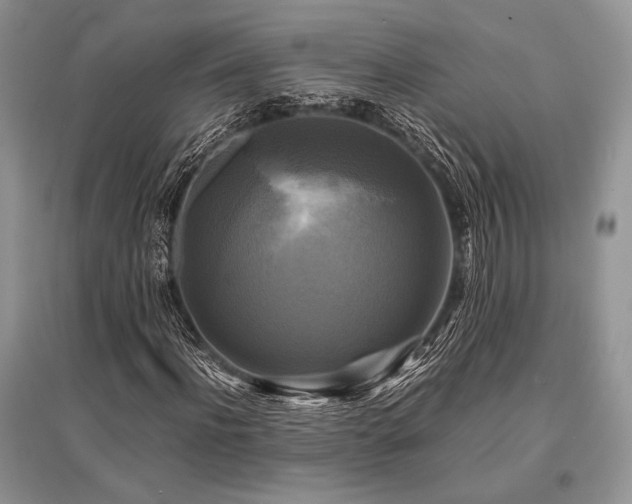 X0000096380916200801241233