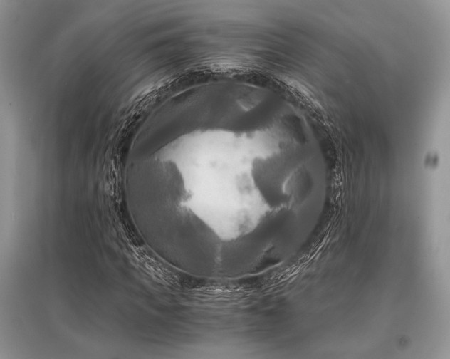 X0000096380917200801241233