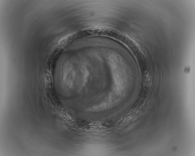 X0000096380918200801241233