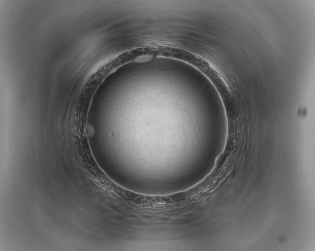 X0000096380919200801241233