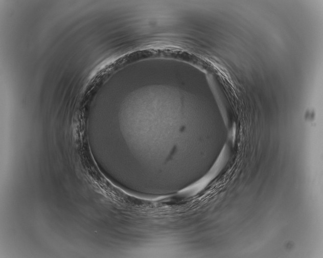 X0000096380920200801241233