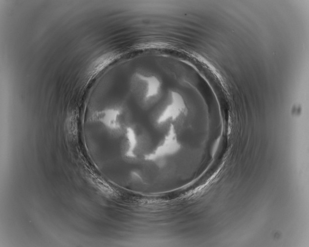X0000096380921200801241233