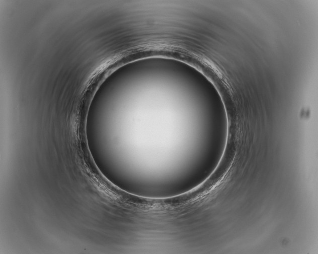 X0000096380922200801241233
