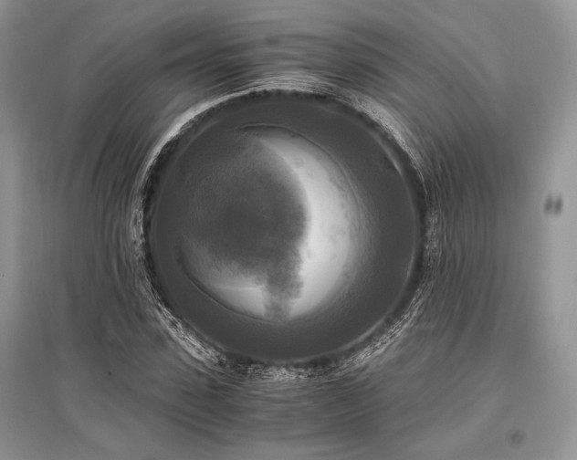 X0000096380923200801241233