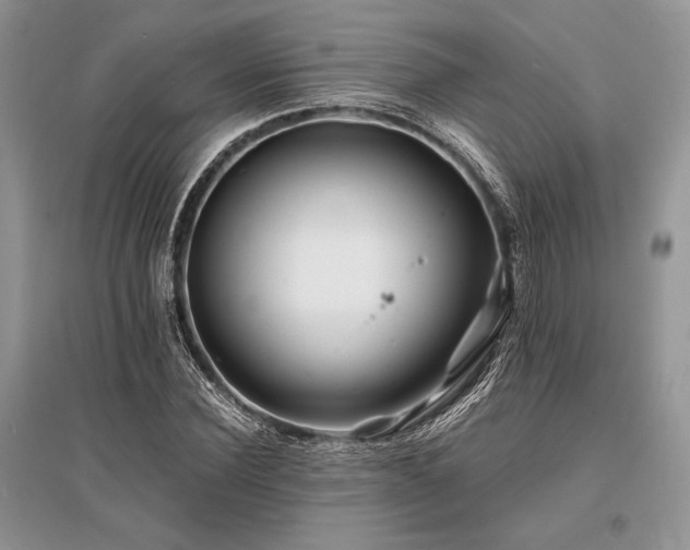 X0000096380924200801241233