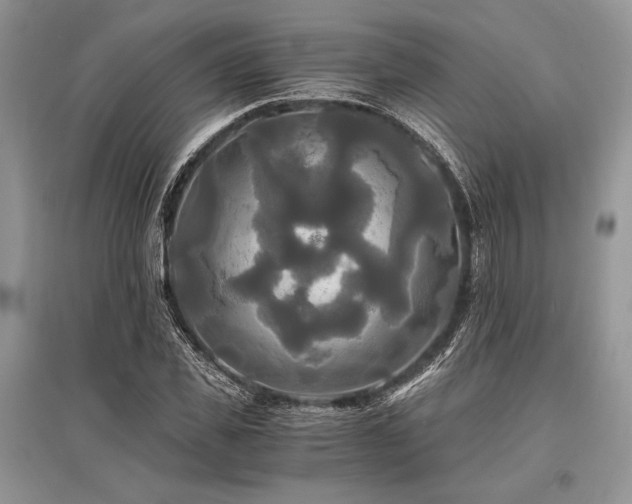 X0000096380925200801241233