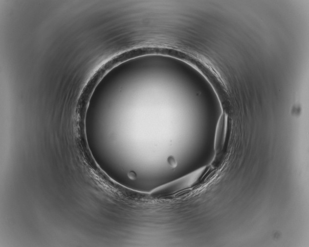 X0000096380926200801241233