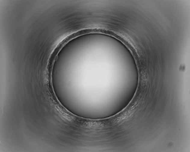 X0000096380927200801241233