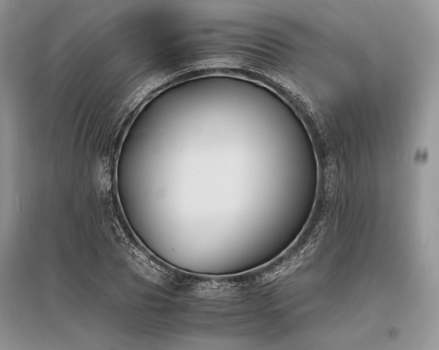 X0000096380929200801241233