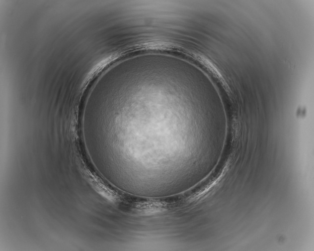 X0000096380930200801241233