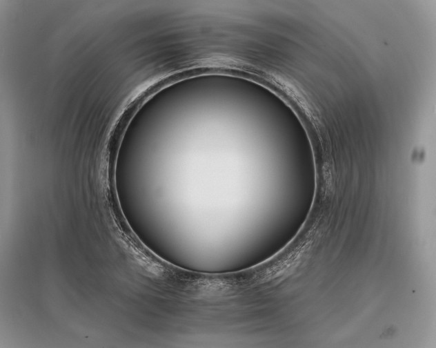 X0000096380931200801241233