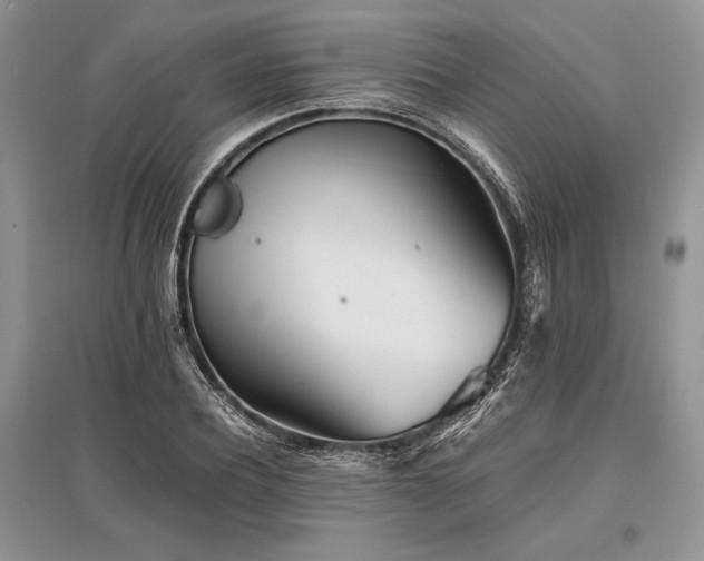 X0000096380932200801241233