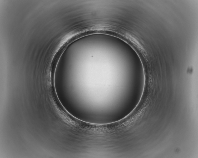 X0000096380934200801241233