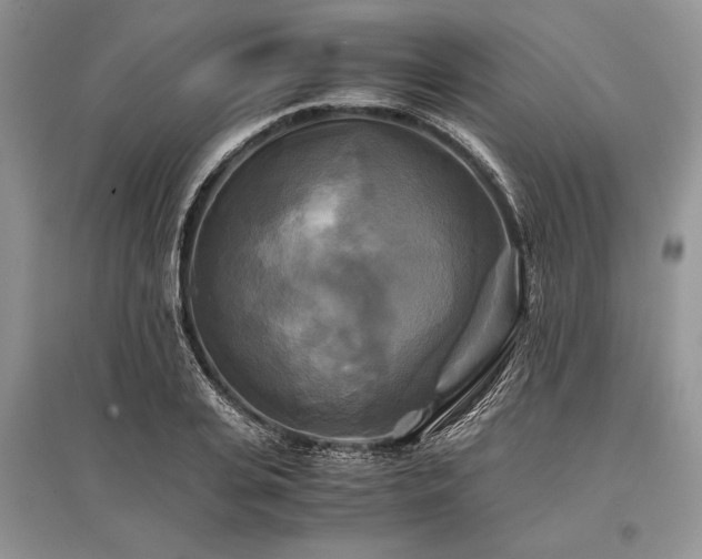 X0000096380935200801241233