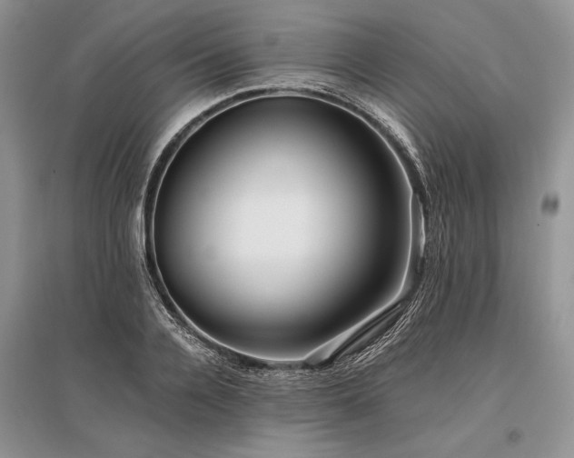 X0000096380936200801241233