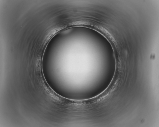 X0000096380937200801241233