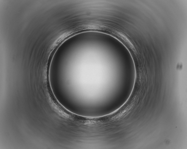 X0000096380938200801241233