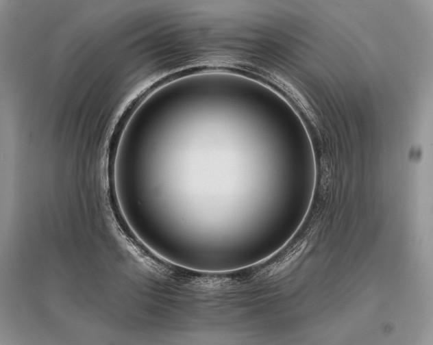 X0000096380939200801241233