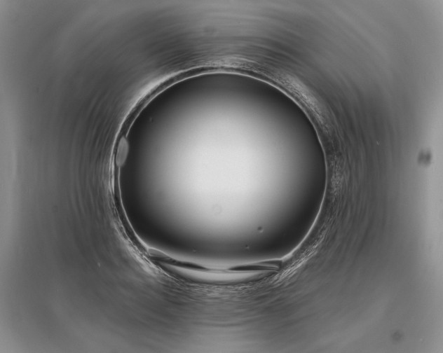 X0000096380940200801241233