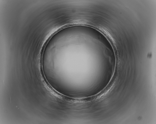 X0000096380941200801241233