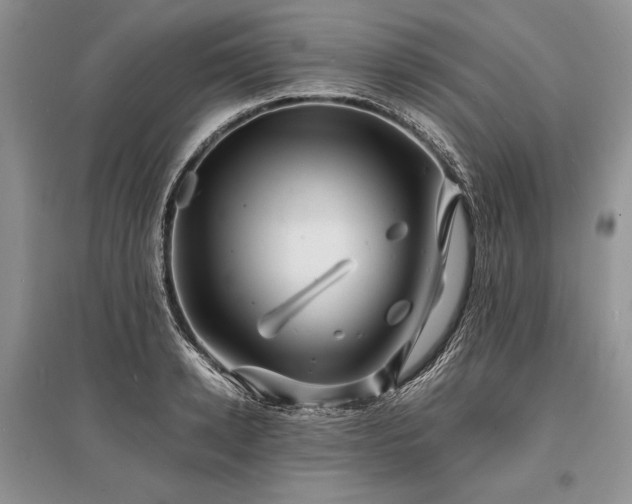 X0000096380942200801241233