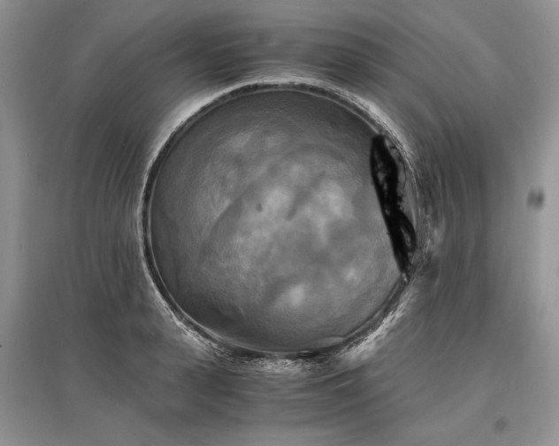 X0000096380943200801241233