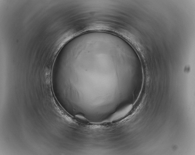 X0000096380945200801241234