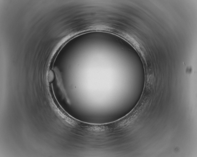 X0000096380947200801241234