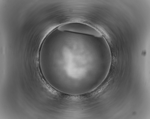 X0000096380948200801241234